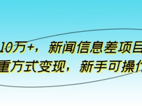 月入10万+，新闻信息差项目，多重方式变现，新手可操作【揭秘】