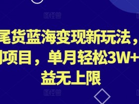 外贸尾货蓝海变现新玩法，冷门暴利项目，单月轻松3W+，收益无上限【揭秘】