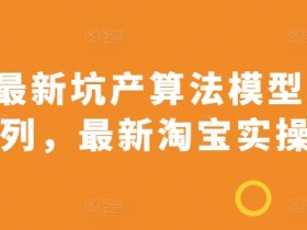 2024最新坑产算法模型打款玩法系列，最新淘宝实操玩法