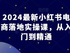 2024最新小红书电商落地实操课，从入门到精通