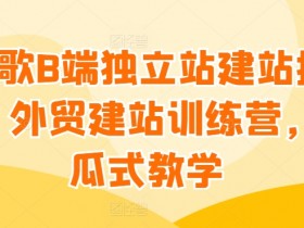 谷歌B端独立站建站推广，外贸建站训练营，傻瓜式教学