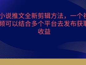 小说推文全新剪辑方法，一个视频可以结合多个平台去发布获取【揭秘】