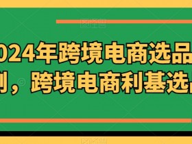 2024年跨境电商选品案例，跨境电商利基选品