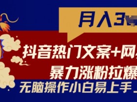 抖音热门文案+网易云截图暴力涨粉拉爆收益玩法，小白无脑操作，简单易上手【揭秘】