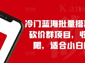 冷门蓝海批量搭建拼多多砍价群项目，收益无上限，适合小白的风口【揭秘】