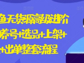 2024闲鱼无货源高级进阶卖货5.0.养号+选品+上架+优化+出单整套流程【揭秘】
