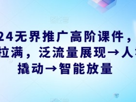 2024无界推广高阶课件，智能拉满，泛流量展现→人群撬动→智能放量