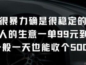 不是很暴力确是很稳定的项目只做富人的生意一单99元到199元【揭秘】