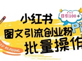 最新小红书批量图文引流技术，日引100+创业粉【揭秘】