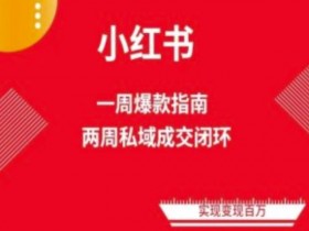 爆款小红书免费流量体系课程(两周变现)，小红书电商教程