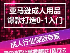 亚马逊成人用品爆款打造0-1入门，系统化讲解亚马逊成人用品爆款打造的流程