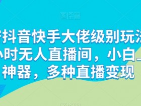 解密抖音快手大佬级别玩法，24小时无人直播间，小白上手神器，多种直播变现【揭秘】