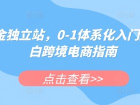 掘金独立站，0-1体系化入门，小白跨境电商指南