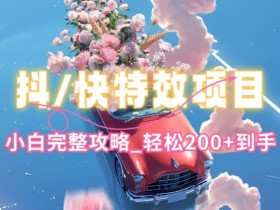 抖音快手双平台特效教程，玩法简单，小白完整攻略，轻松100+到手【揭秘】