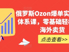 俄罗斯Ozon爆单实操全阶体系课，零基础轻松开启海外卖货