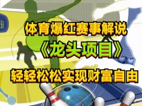 体育爆红赛事解说，玩法简单，小白一天就上手，轻松获取收益【揭秘】
