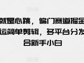 玩的就是心跳，偏门赛道掘金，视频搬运简单剪辑，多平台分发，适合新手小白【揭秘】