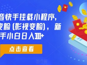 0粉抖音快手挂载小程序，超级变脸(影视变脸)，新手小白日入300+【揭秘】