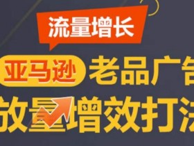 亚马逊流量增长-老品广告放量增效打法，循序渐进，打造更多TOP listing​