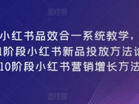 小红书品效合一系统教学，​0~1阶段小红书新品投放方法论，​1~10阶段小红书营销增长方法论