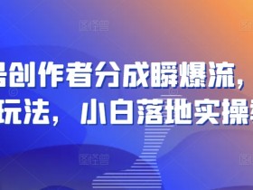 视频号创作者分成瞬爆流，团队新出玩法，小白落地实操教学【揭秘】