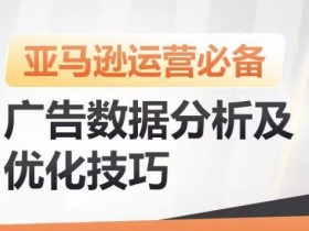 亚马逊广告数据分析及优化技巧，高效提升广告效果，降低ACOS，促进销量持续上升