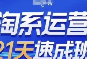 淘系运营21天速成班(更新24年5月)，0基础轻松搞定淘系运营，不做假把式