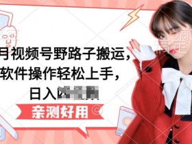 5月视频号野路子搬运，软件操作轻松上手，日入三位数【揭秘】
