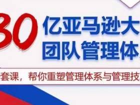 30亿亚马逊大卖团队管理体系，一套课，帮你重塑管理体系与管理技巧