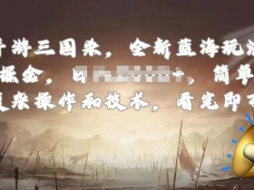 手游三国杀最新蓝海玩法，简单粗暴，无需复杂的操作和技术，看完即可上手【揭秘】