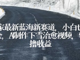 独家最新蓝海新赛道，小白也能学会，AI制作下雪治愈视频，轻松撸收益【揭秘】