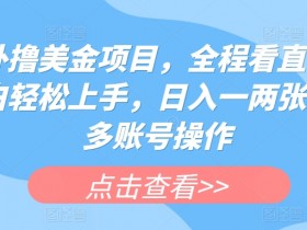 海外撸美金项目，全程看直播，小白轻松上手，日入一两张，可多账号操作【揭秘】