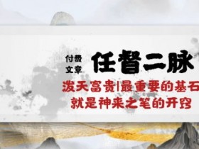 某付费文章《任督 二脉 泼天富贵|最重要的基石 就是神来之笔的开窍|万字》