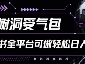 小红书等全平台树洞受气包项目，轻松日入一两张【揭秘】