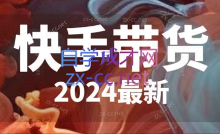 快手带货（2024最新）