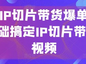 明星IP切片带货爆单营，0基础搞定IP切片带货短视频