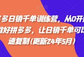 拼多多日销千单训练营，从0开始带你做好拼多多，让日销千单可以快速复制(更新25年10月)