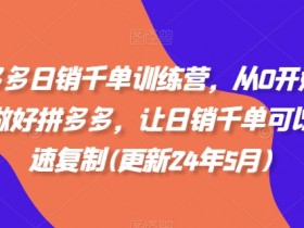拼多多日销千单训练营，从0开始带你做好拼多多，让日销千单可以快速复制(更新24年5月)