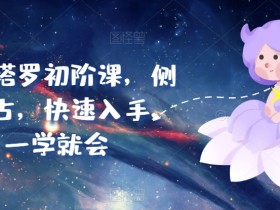实占塔罗初阶课，侧重实占，快速入手，一学就会