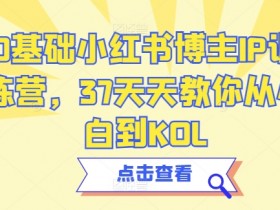 0基础小红书博主IP训练营，37天天教你从小白到KOL