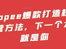 Shopee爆款打造核心运营方法，下一个大卖就是你