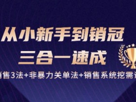 从小新手到销冠 三合一速成：销售3法+非暴力关单法+销售系统挖需课 (27节)