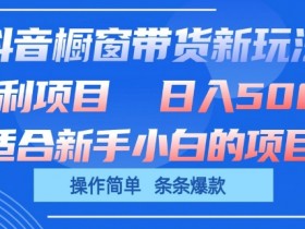 抖音橱窗带货新玩法，单日收益几张，操作简单，条条爆款【揭秘】