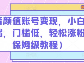 抖音颜值账号变现，小白0基础，门槛低，​轻松涨粉(保姆级教程)【揭秘】