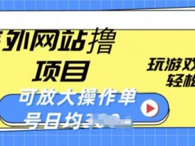 海外网站撸金项目，玩游戏赚美金，轻松简单可放大操作，单号每天均一两张【揭秘】