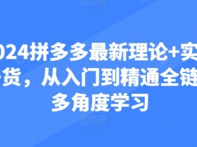 2024拼多多最新理论+实操干货，从入门到精通全链路多角度学习