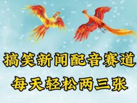 中视频爆火赛道一搞笑新闻配音赛道，每天轻松两三张【揭秘】
