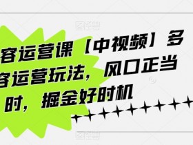 海外内容运营课【中视频】多种内容运营玩法，风口正当时，掘金好时机
