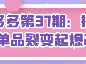 拼多多第37期：拼多多单品裂变起爆2.0