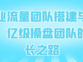 企业流量团队搭建与管理，亿级操盘团队的成长之路